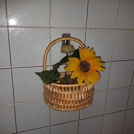 Casetta Di Montagna Viuex *